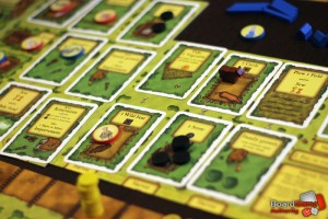 Agricola cards in play
