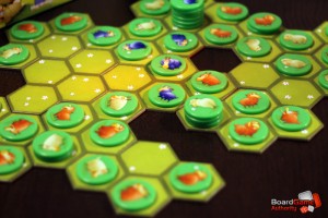 battle sheep game play